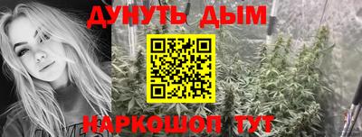шишки Балашиха