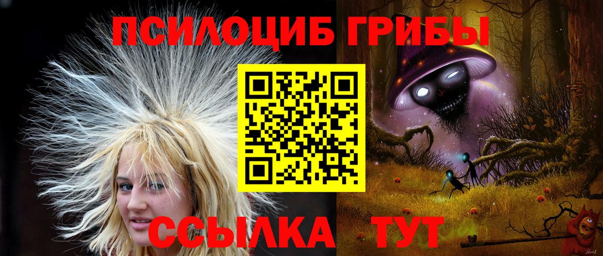 Гуково  Псилоцибиновые грибы Psilocybine cubensis  Вход с VPN 