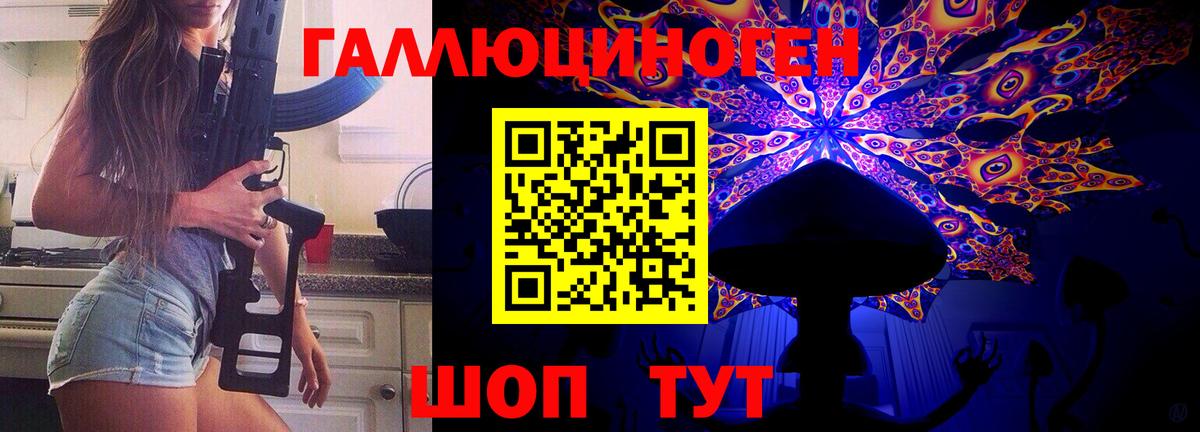 Галлюциногенные грибы Cubensis Гуково